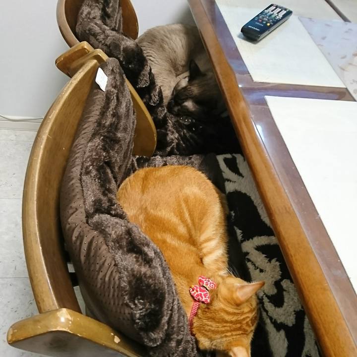 A1d83ced c7c9 4341 8b53 58cb7080b6e4 1508584209406