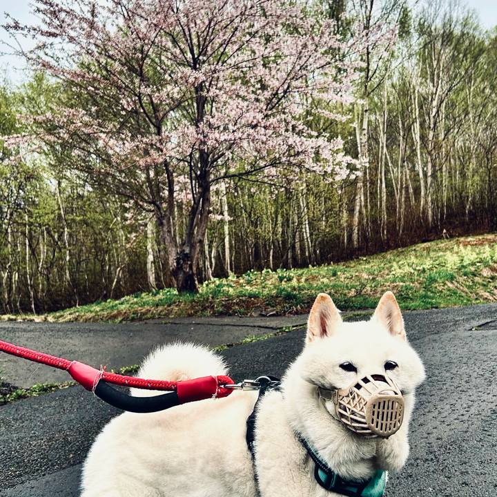 A1d845bc ab97 4e18 81e5 87353d5ff90a 1746306425434