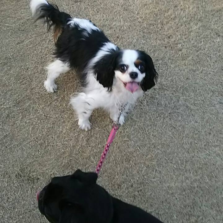 A1d8a8ce 4a3d 4245 bd6d 865ee54da32d 1522056413846