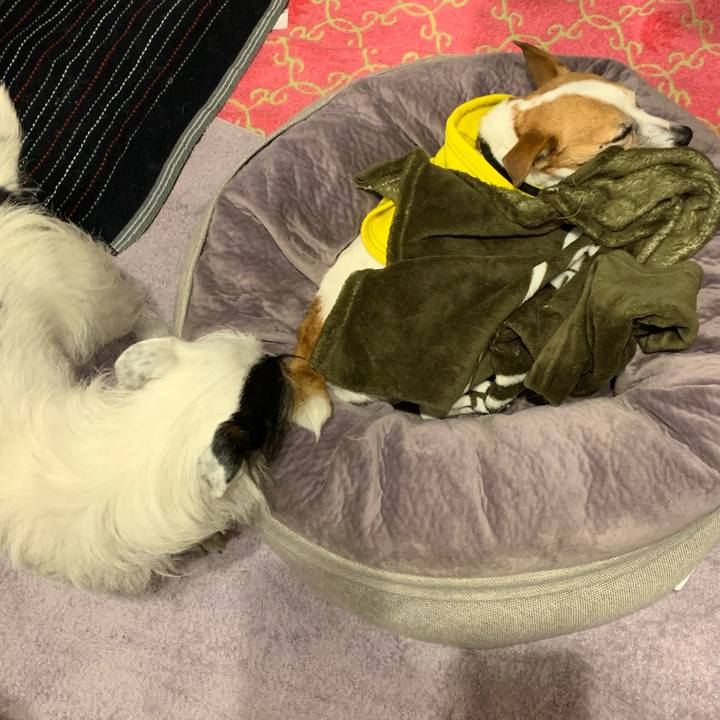 A1d8be5d b721 4b63 bb7e a05e3122f2d4 1648119523740