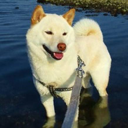 A1d8be82 317d 44ba 8e52 7a9e4e824e7b 1648696839728