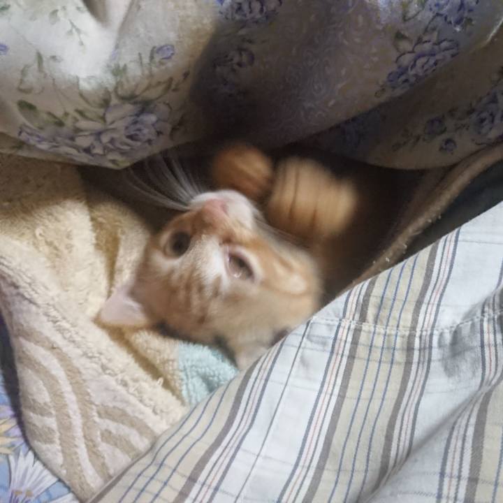 A1d8d5d3 6097 4bd0 a5cc 6989fe7b09a0 1629145412752