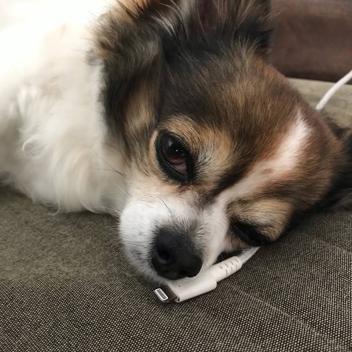 A1d8fecf 1f84 4aff afd8 764e49df22ec 1651025415644