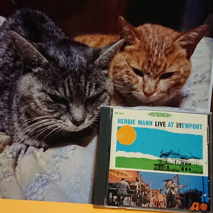 A1d8ff3e 5ace 41e5 8018 de6f24c73c2f 1616067910563