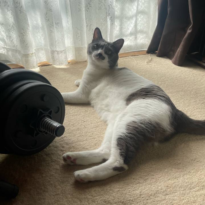 A1d923aa b942 42c6 8036 7a61d0264d54 1667002587282