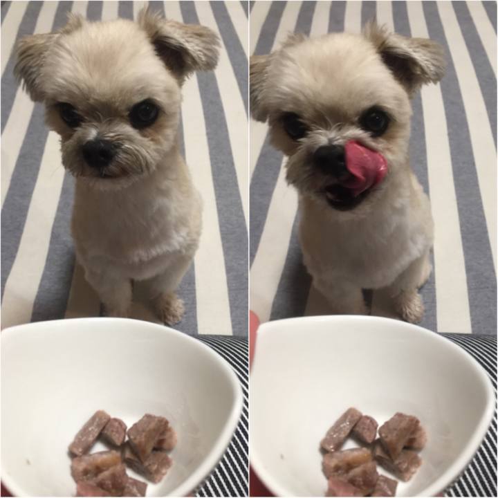 A1d98393 f7ac 4935 beaa e5aefae60bde 1533352469595