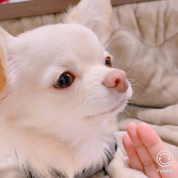 A1d9a7d6 fba3 44e0 991e 44d6babf8c11 1608770296291