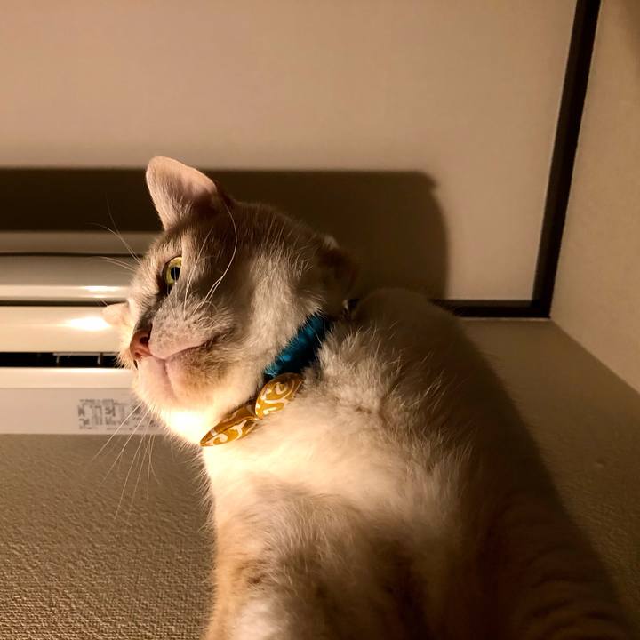 A1d9d283 e509 4e4e b5ff bf77a5551535 1603716372936