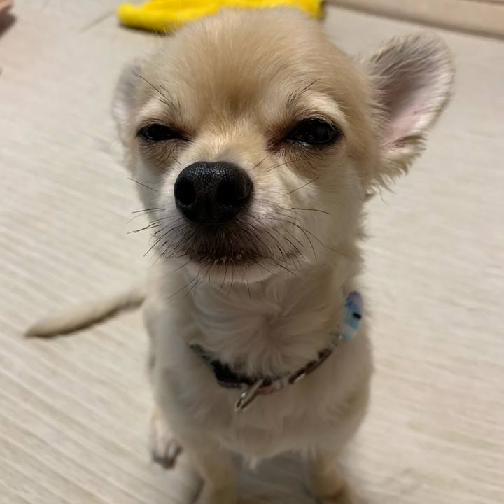 A1d9ff94 570a 4876 8b2b 4a8f0d74bc23 1630792766789