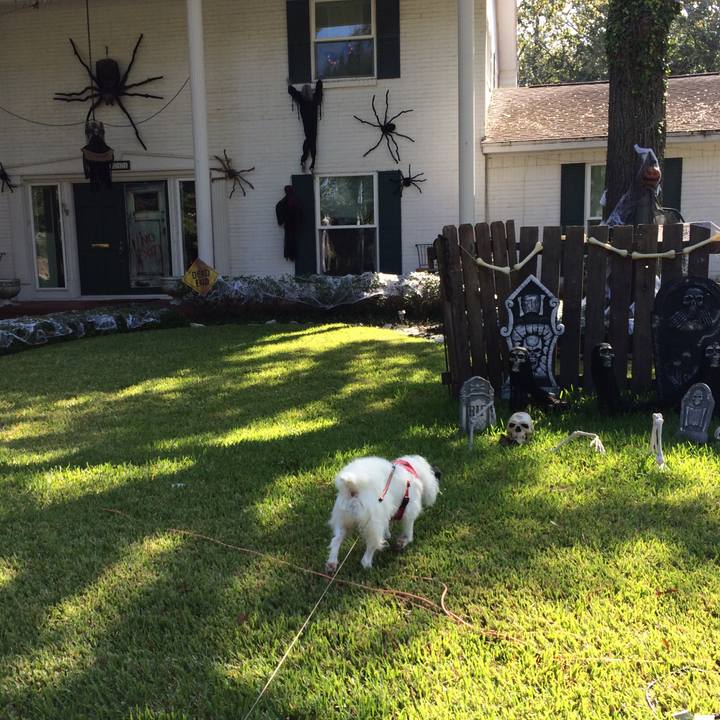 A1da1476 a185 44e5 afaf 2a43b19565b7 1507936865255