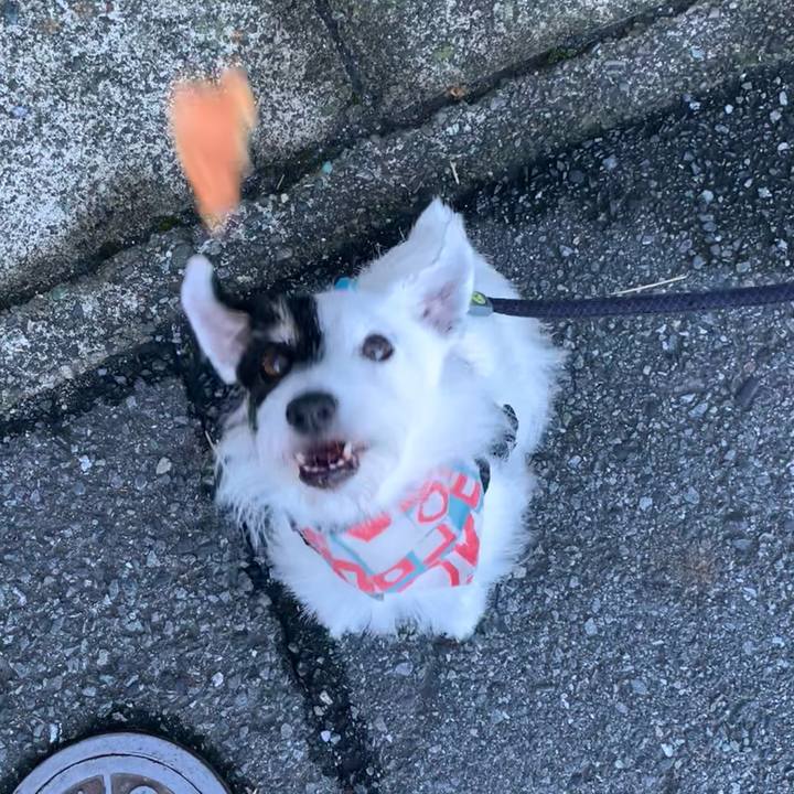 A1da1b32 8f43 4c0f b73f 4343e6bda235 1723848175290