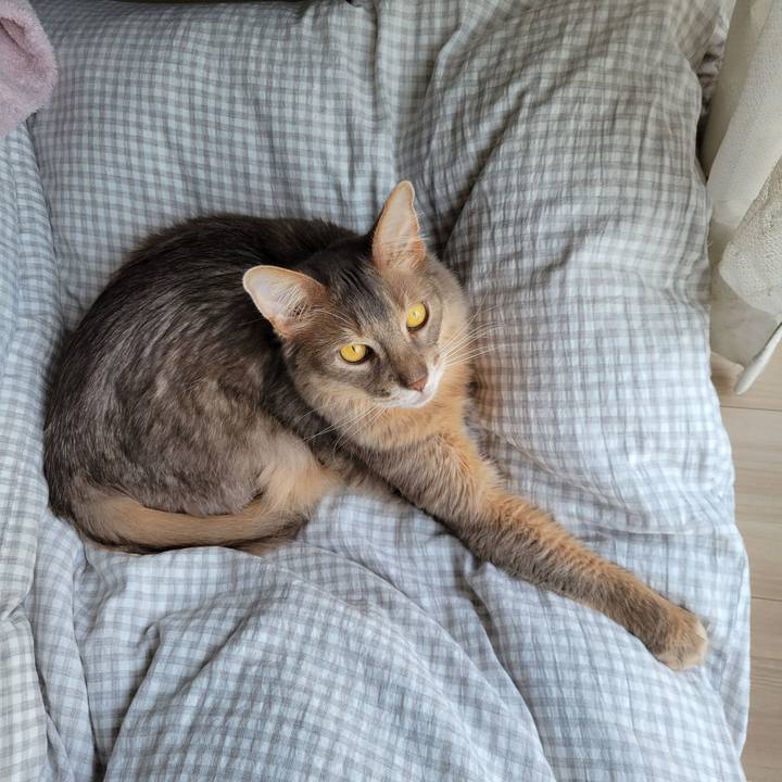 A1da373f 8e5a 4627 bd41 f55dc77056ea 1652929145429