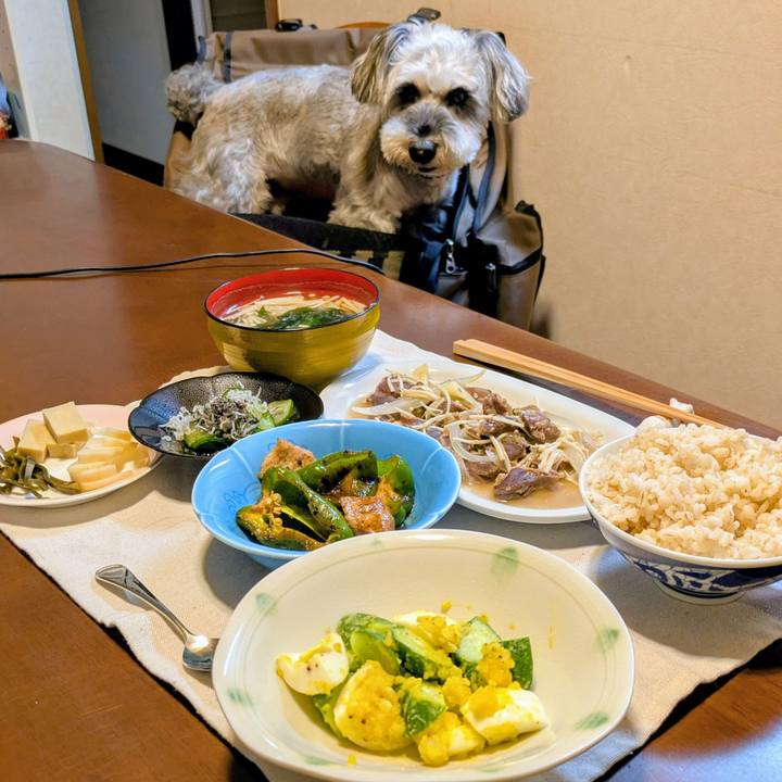 A1da6f2e 0cac 4b7d 8cd9 d019a31fa570 1760530403424