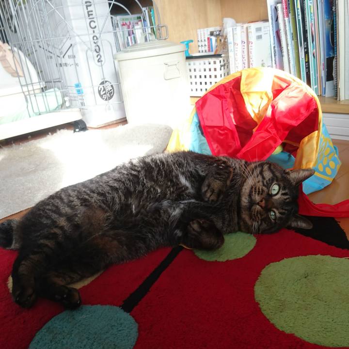 A1da9e4f c113 4555 a46f bb894a19d169 1516424128412