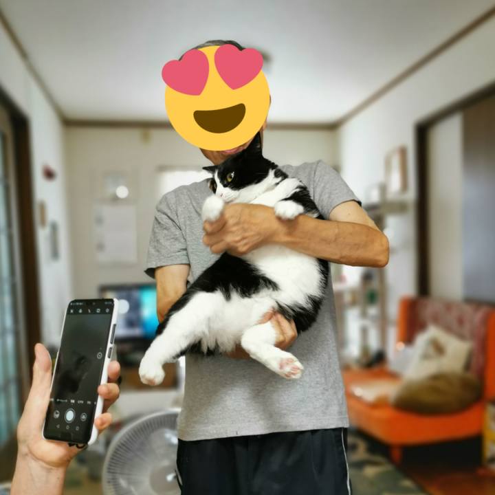 A1dab216 697f 439e bf79 ccc01e435589 1662787786934