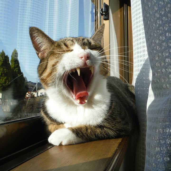 A1daebc8 54a9 43cc bd04 f018f4e2be8c 1513317325902