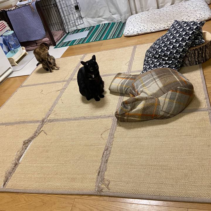 A1daf09b be8a 4c51 9981 5d612ce68216 1600437611261