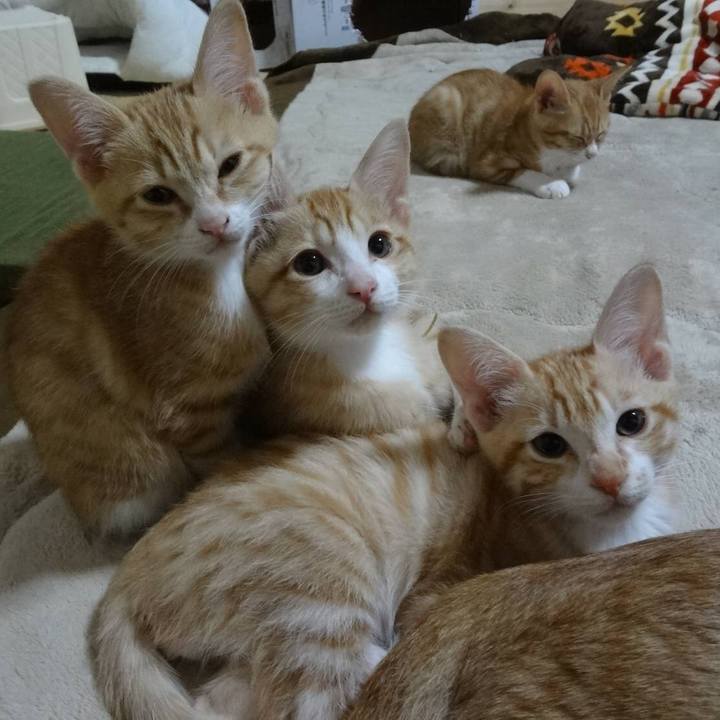 A1daf355 88cc 4ed6 8782 660b404a2a63 1557049495834