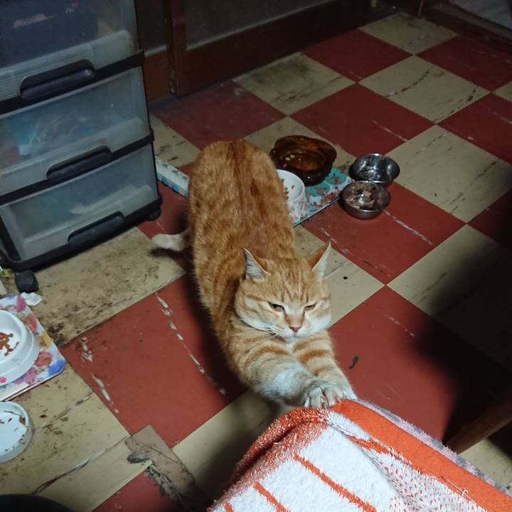 A1db2698 2d98 4210 bcce e1f06031358d 1584475092831