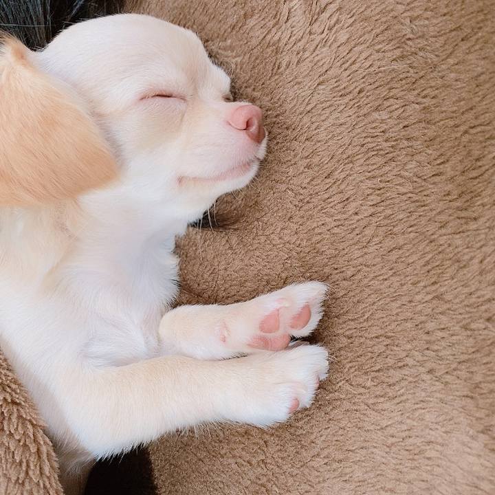 A1db43ab 3548 4190 8fa6 9a81ee28de7c 1596290093091