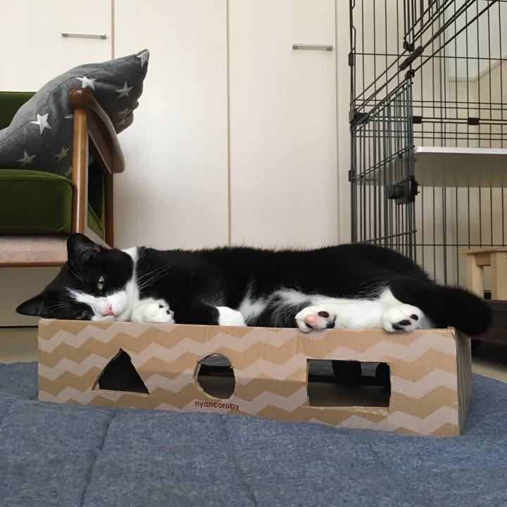 A1db56fb fe48 45f2 848f f257313c6dd8 1597625342961