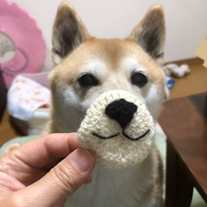 A1dbbf92 f396 4735 9e54 242be8564666 1606899439494