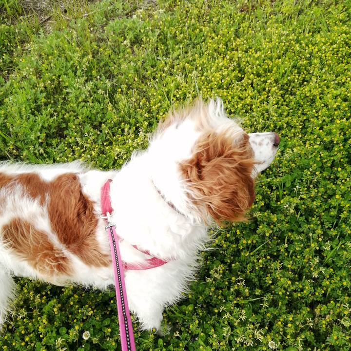 A1dbc197 eb4c 4211 b190 63fda76967d7 1587381217511