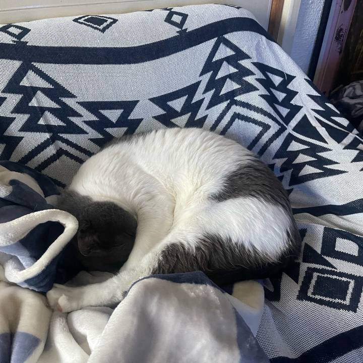 A1dbc643 9d05 41e4 a012 f78bd4ba8bf2 1675061930606