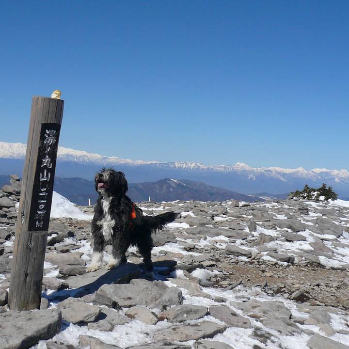 A1dbcb18 cfd0 4235 863b 1074e83a8869 1547629194305