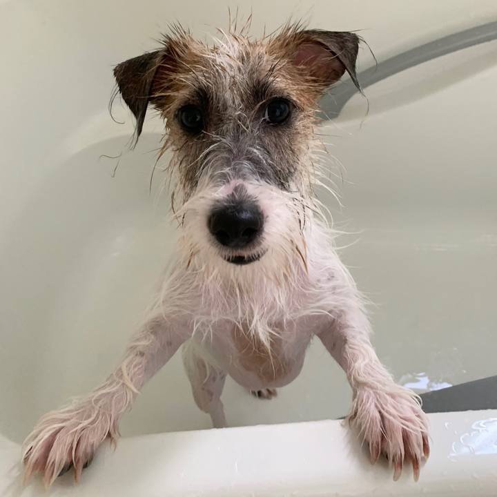 A1dbf382 e7a7 41ae 89e8 be046f4592e7 1568520358226