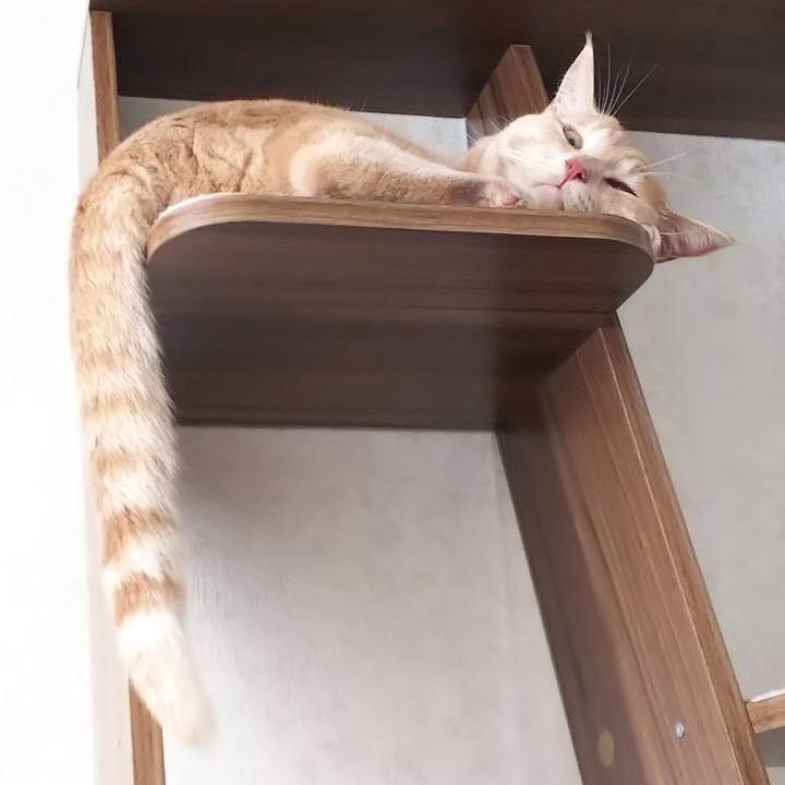 A1dc2481 d322 470a 941c 0881e1d612c9 1566427094934