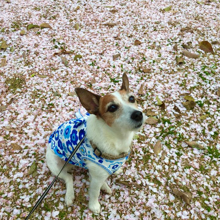 A1dc2fc9 022e 4f1c a037 b5a19ca89169 1617319402590