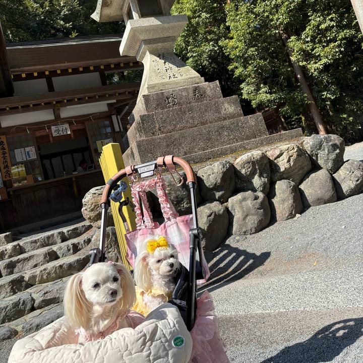 A1dc7010 8073 489d b021 b8be4427b59a 1774339969891