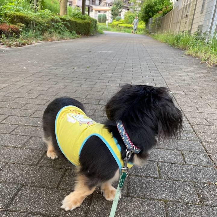 A1dc705e 11a4 40e5 9043 4a3cbb789a29 1755478989419