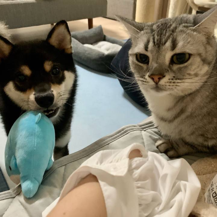 A1dcd069 0f94 48fc b1b8 18f9bdbdcf8e 1623104561814