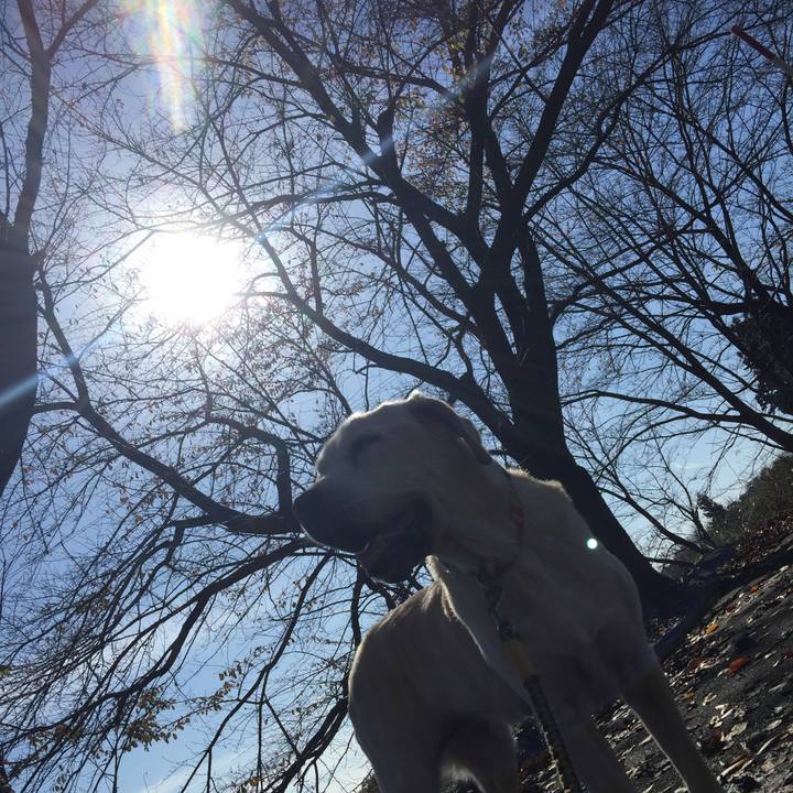 A1dd1914 80ba 4ec4 a49b d87190e5c01f 1542512927039