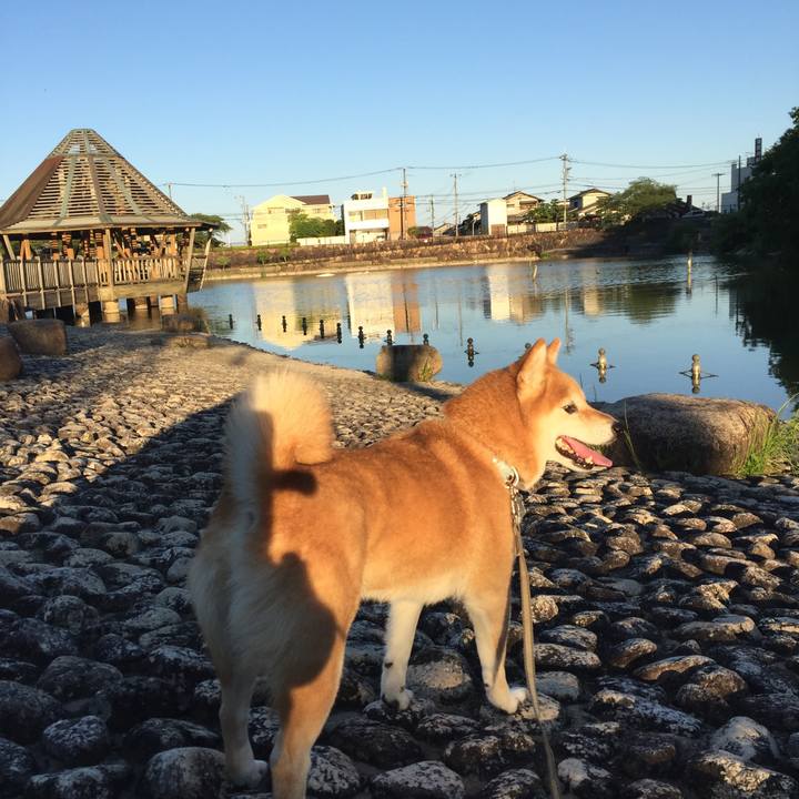 A1dd5eb3 a48a 47e5 b078 669a96b1020b 1557222988940