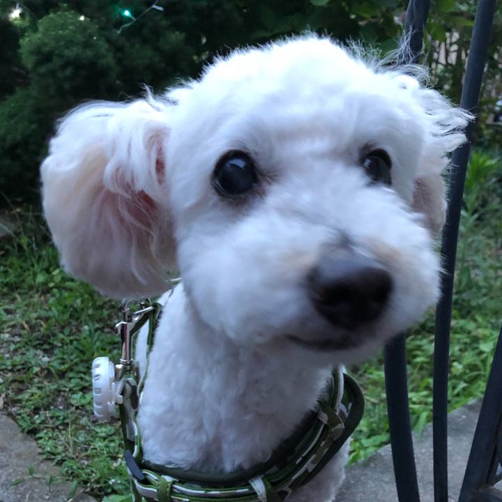 A1ddb6d4 3f08 466b b855 f616f367e962 1531145207627