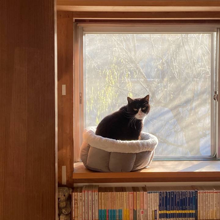 A1ddcab0 4f76 416f 9d5e b306a512c1fc 1611365019310