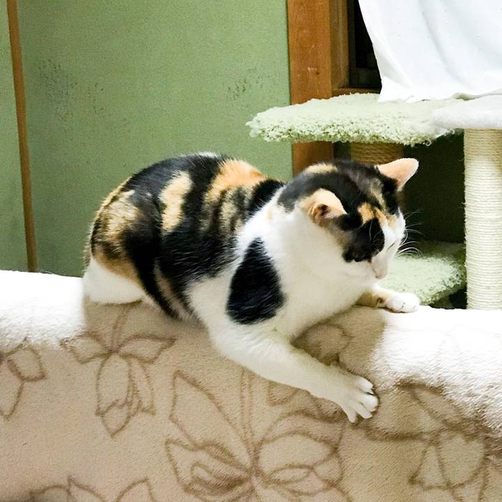 A1ddf955 280f 4091 8bf4 8f5babb99a8f 1526050701138