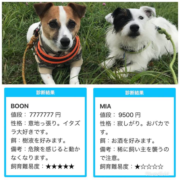 A1de0880 39be 4f55 b183 a3702db09f5d 1529804480299