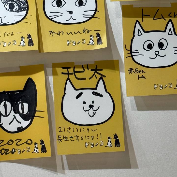 A1de17bd 057d 4efa b7a7 1a13775db456 1761967178121