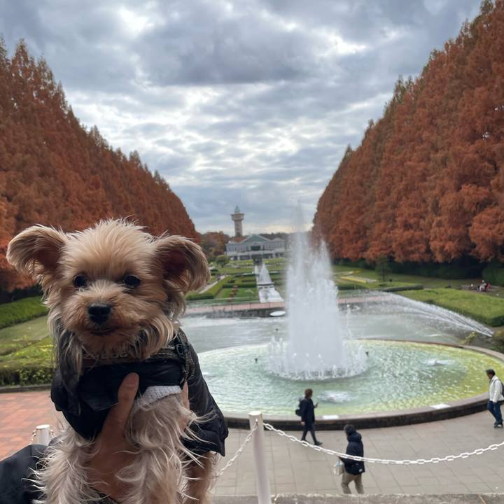 A1de1acc 8aa2 4c4a b8a3 6e456c4687af 1764391740477