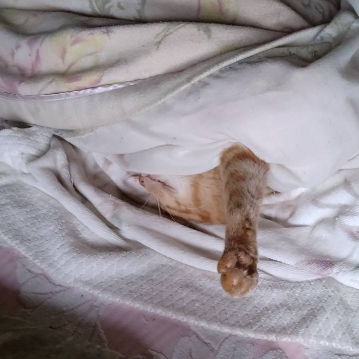 A1de3a51 cd01 4d1d a201 cb40072d1c1f 1698657844224