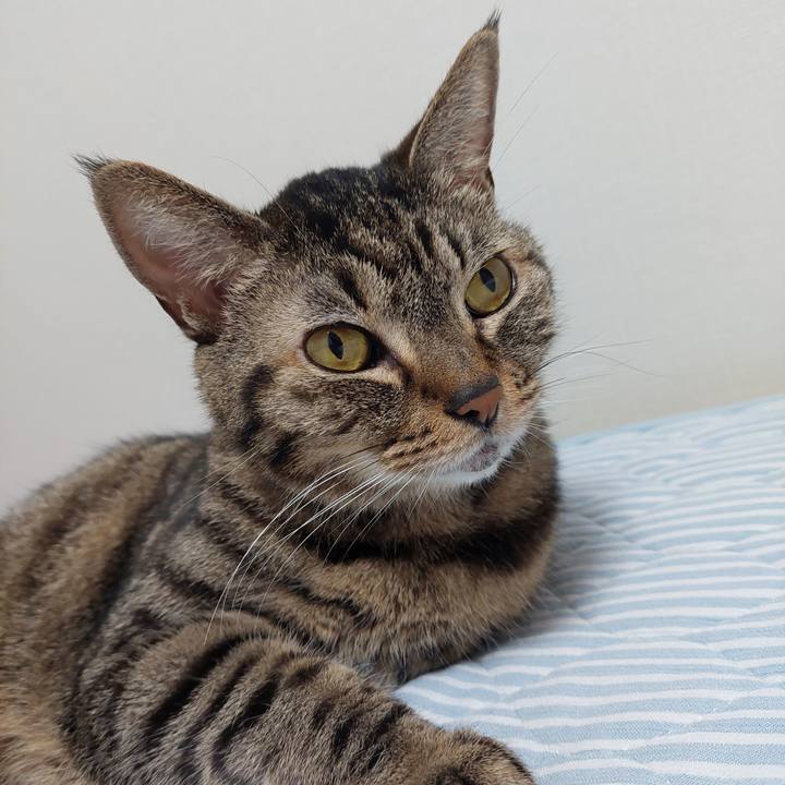 A1de3bd0 0ea4 4ddd 869d 83c1bee3f3f1 1630018379275