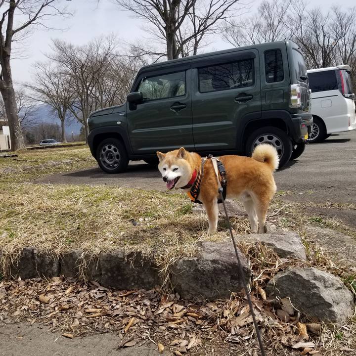 A1de4caf a883 4cb7 9994 9a3af2600dd2 1712457108687