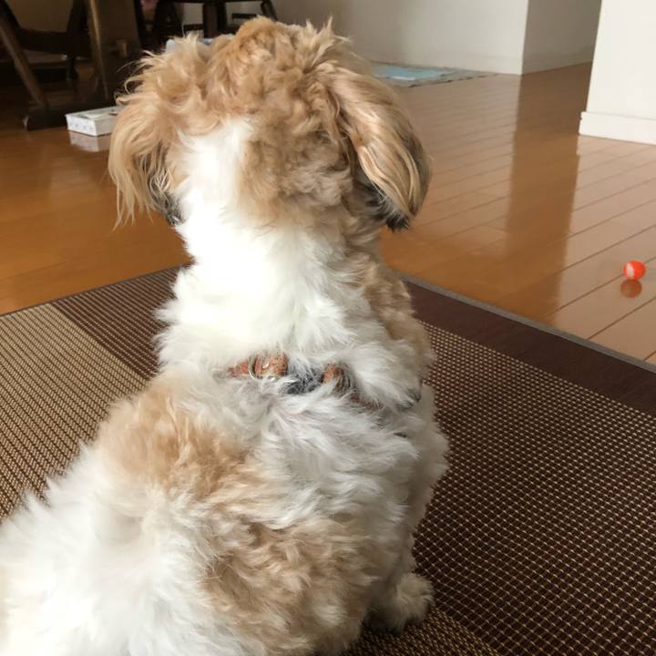 A1de5039 7b89 4d45 b15e e568965c90ae 1526506819732