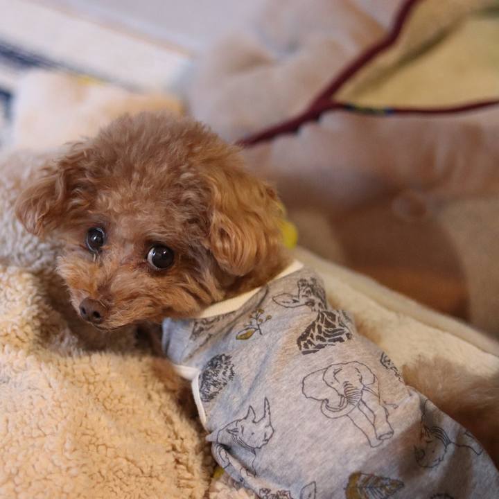 A1de53e7 06f5 47bb b2bf af01859790f1 1591882695799