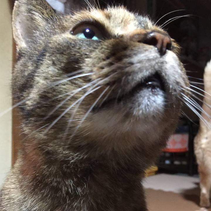 A1de5844 4270 4c57 b1b7 2c24ea8ce45b 1551179120796