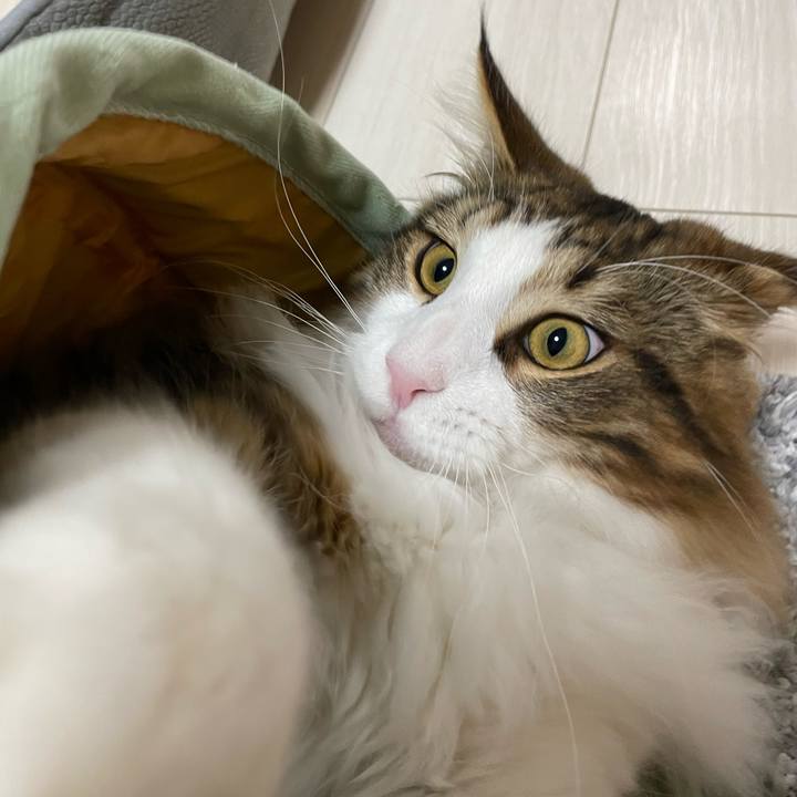 A1de74d3 b9bf 4ff0 b945 ea127e3ffc30 1643148008103